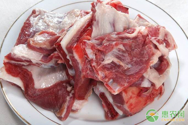羊肉行情