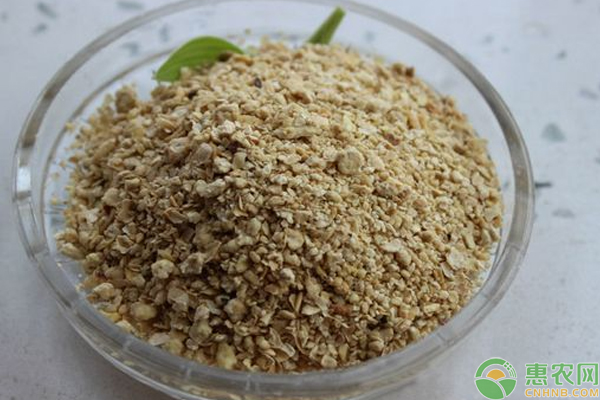 今日豆粕什么价？6月10日豆粕最新价格汇总
