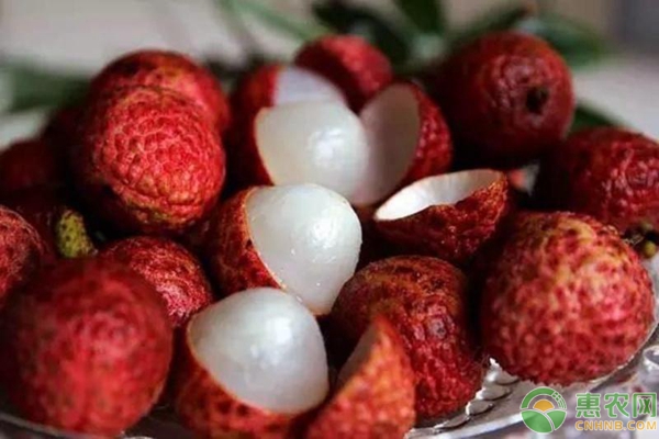 荔枝价格行情