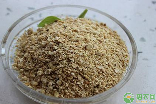 豆粕今日什么价？6月14日豆粕价格行情汇总