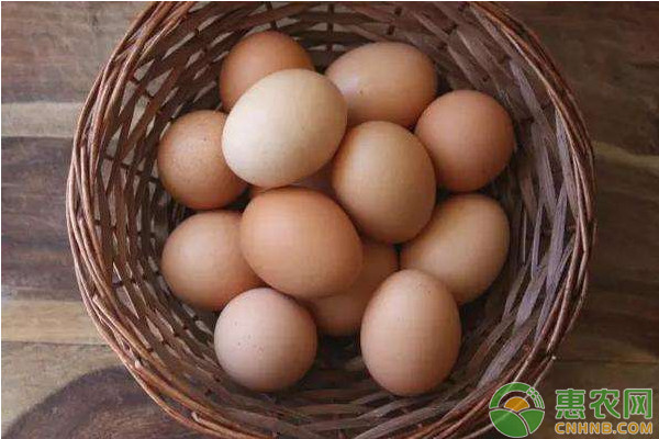 端午节前后鸡蛋价格走势如何？6月15日各地鸡蛋价格最新报价