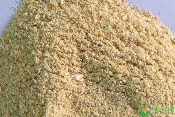 今日豆粕什么价？6月19日豆粕价格行情