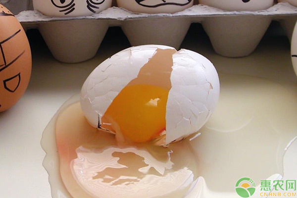 今日鸡蛋多少钱一斤？