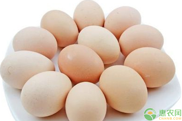 今日全国各地区鸡蛋价格行情分析