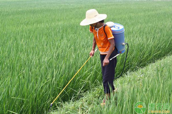 农作物如何选择除草剂32种除草剂适用作物解答