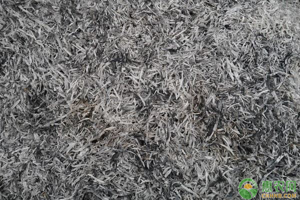 草木灰做肥料 草木灰做肥料
