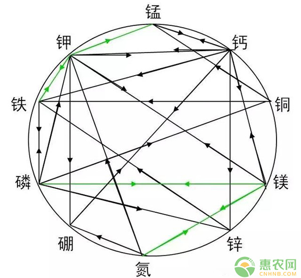 肥料不同元素之间有什么关系哪些相克哪些相生