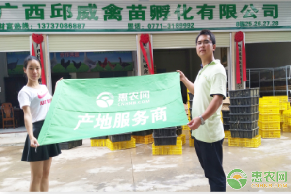 惠农网入选2018中国食品农产品电商平台30强