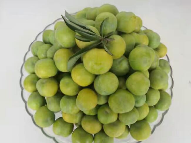 江安李批发供应_江安李价格行情_江安李商家