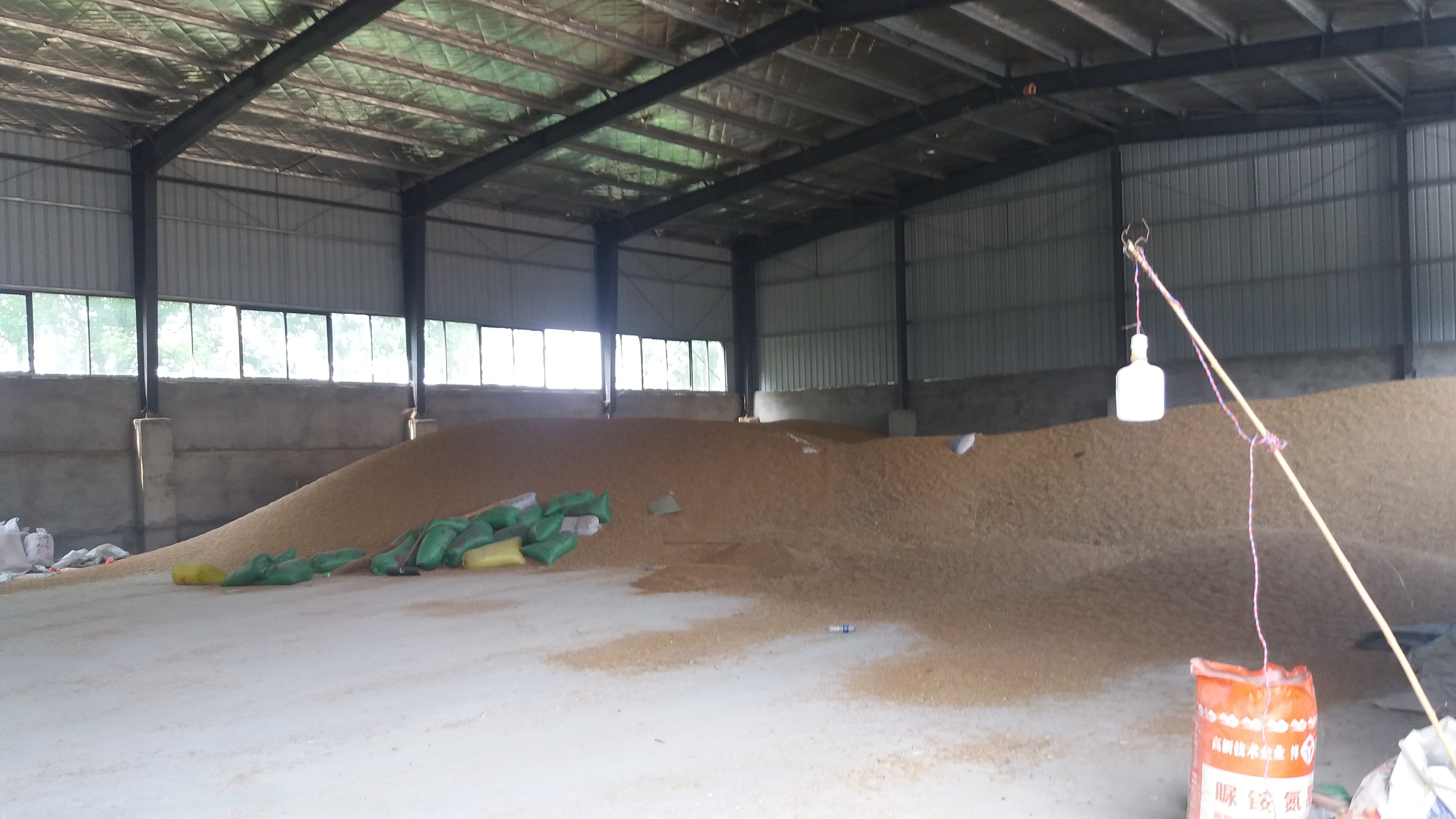 安徽淮北市杜集区混合小麦最新产地行情趋势|