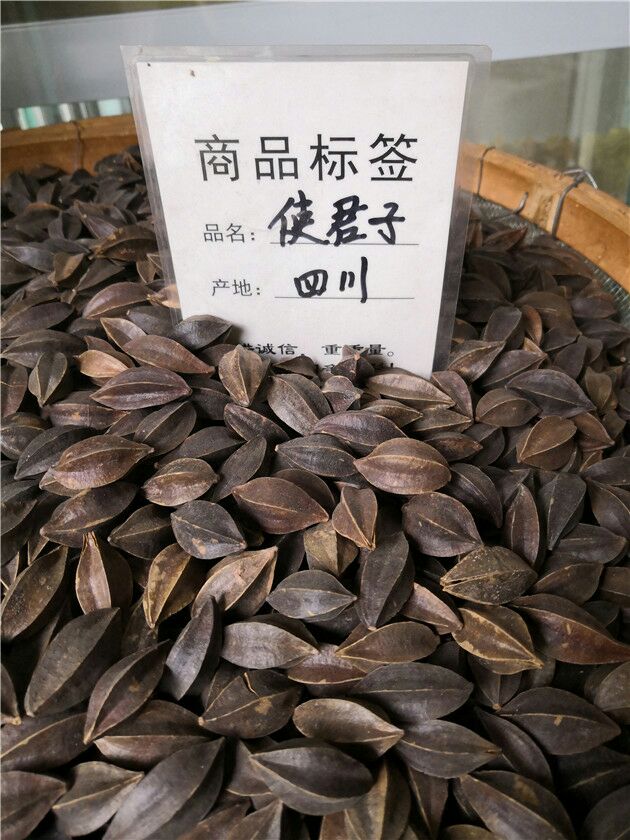中药使君子
