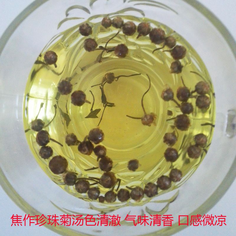 珍珠菊