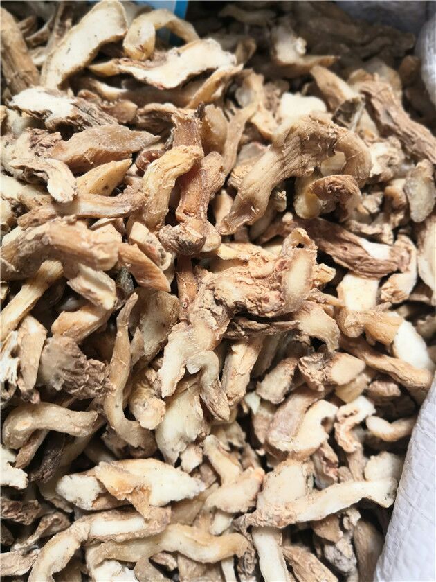 玉竹