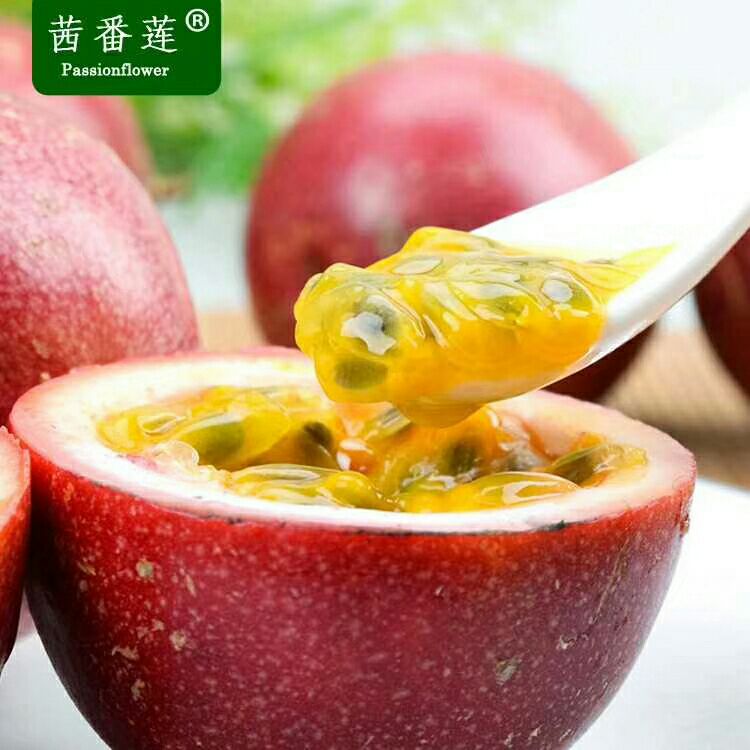 百香果汁 塑料瓶 6-12个月