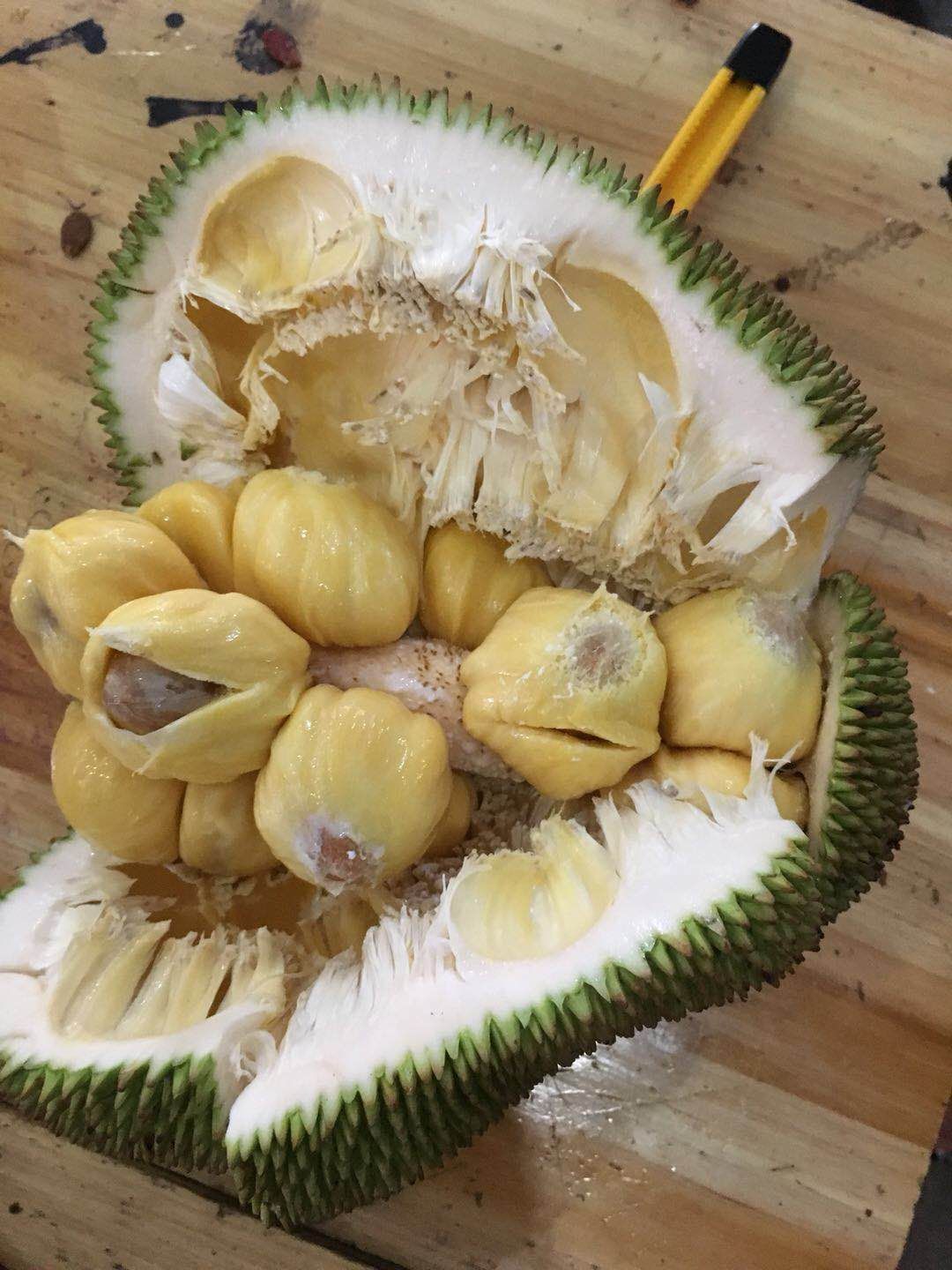 【榴莲蜜批发】榴莲蜜价格5.8元\/斤 200斤起批