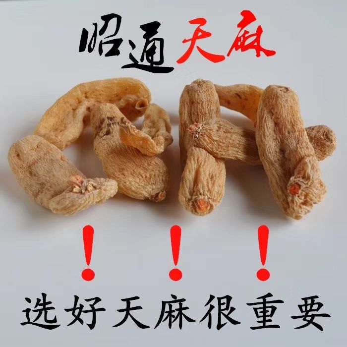 小草坝天麻