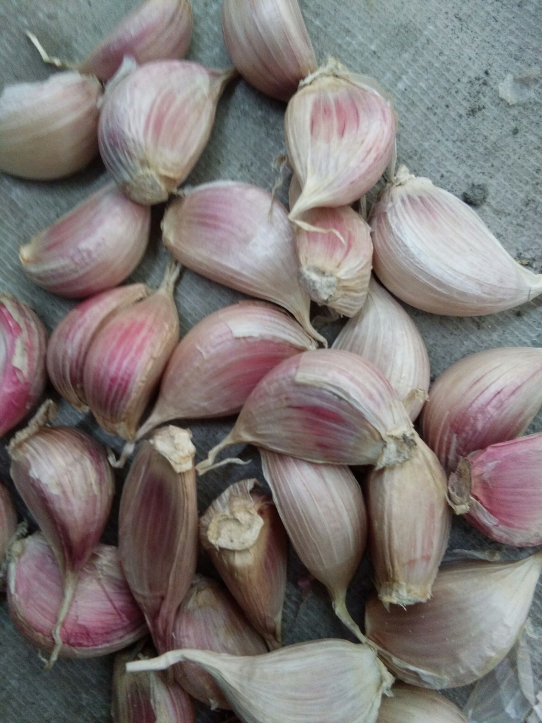 红七星大蒜 3.2-3.8cm 多瓣蒜
