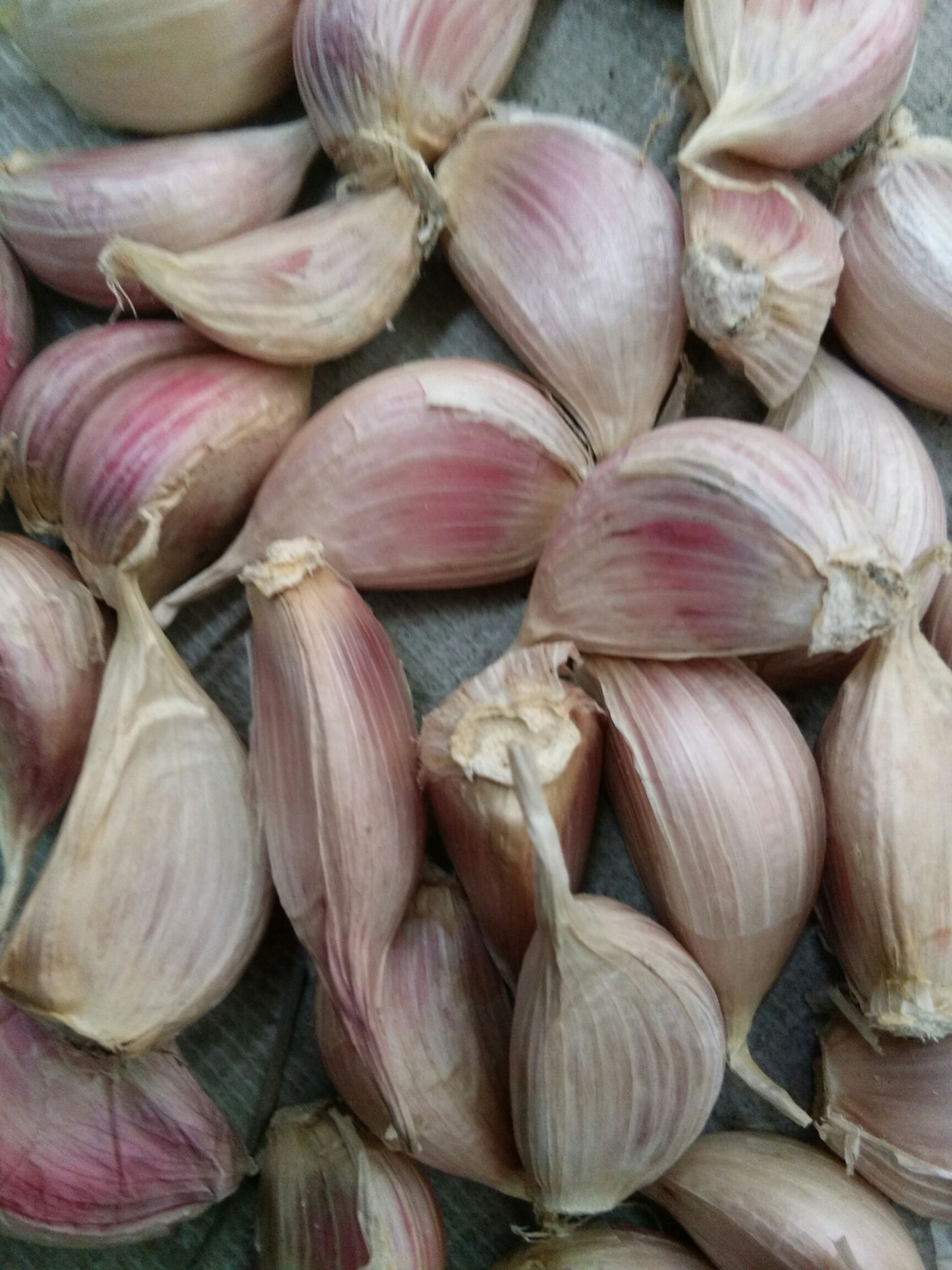 红七星大蒜 3.2-3.8cm 多瓣蒜