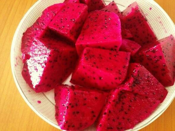 桂红龙一号火龙果苗