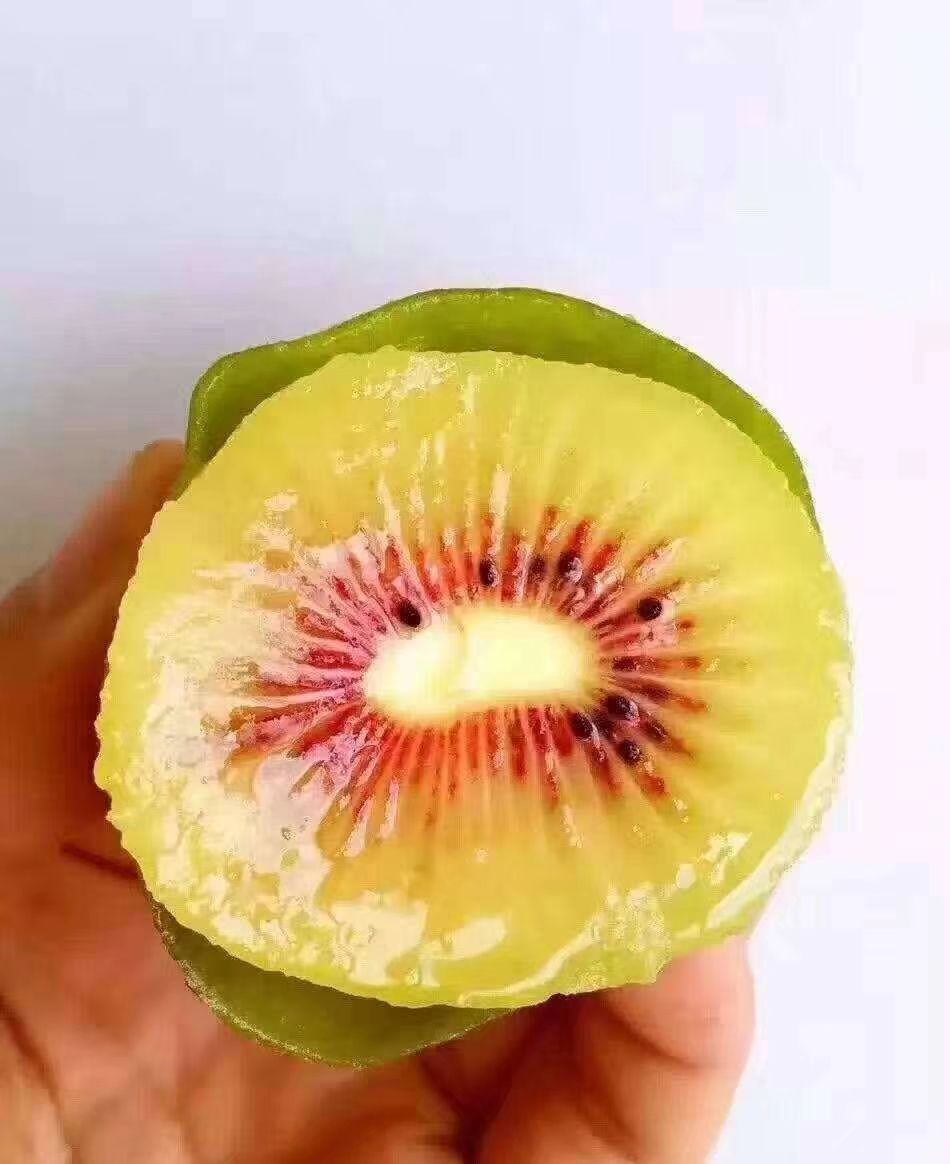 红心猕猴桃 90~100克