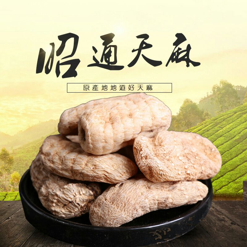 小草坝天麻