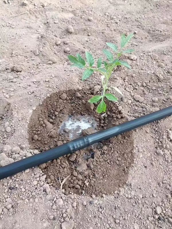 内祥滴灌管 用在果树 葡萄 无花果 樱桃 蓝莓 猕猴桃