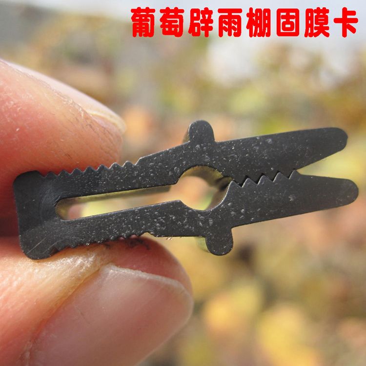 葡萄树避雨棚固膜卡竹夹子大棚配件压膜卡塑料夹膜卡二膜绑枝卡