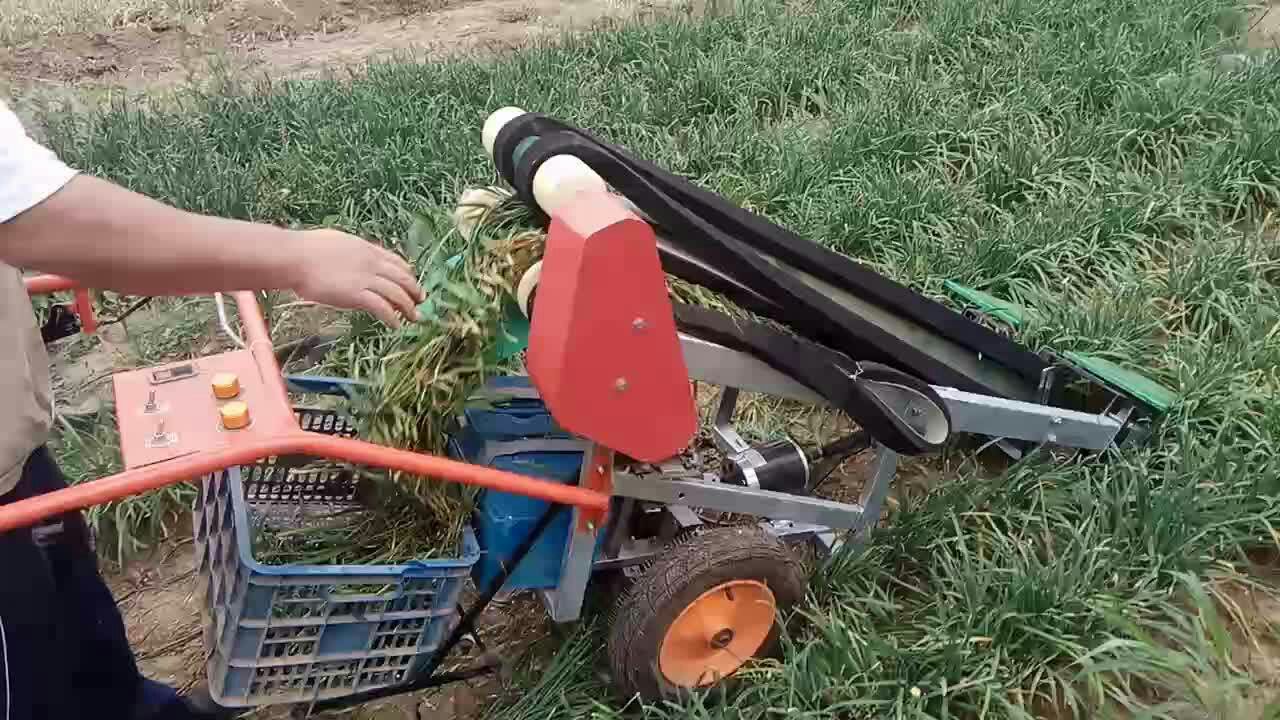 收割机 油菜香菜茴香菠菜药材