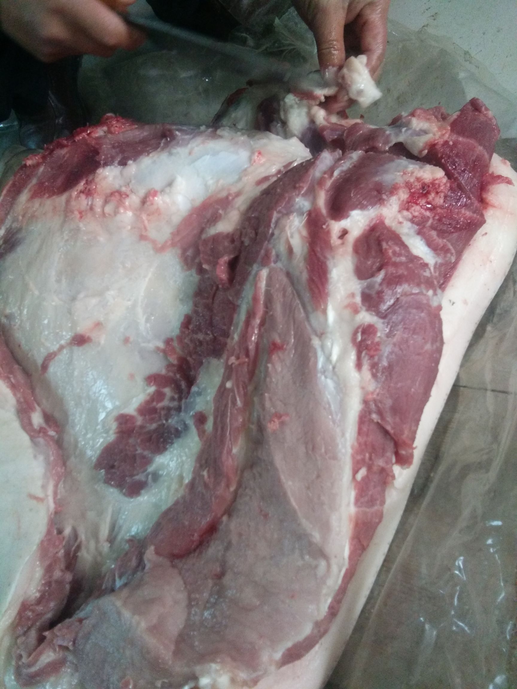 [土猪肉批发]土猪肉 生肉 价格30元/斤 500斤起批