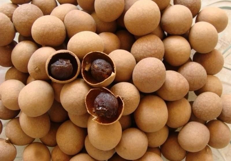 泰国桂圆干 箱装 二等 带壳