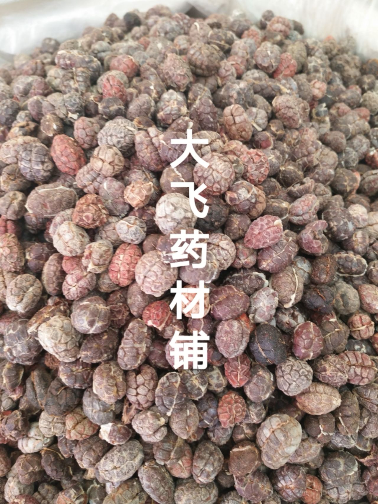 【砂仁批发】砂仁价格300元\/斤 1斤起批