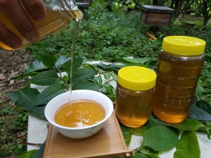 土蜂蜜 塑料瓶装 100% 2年以上