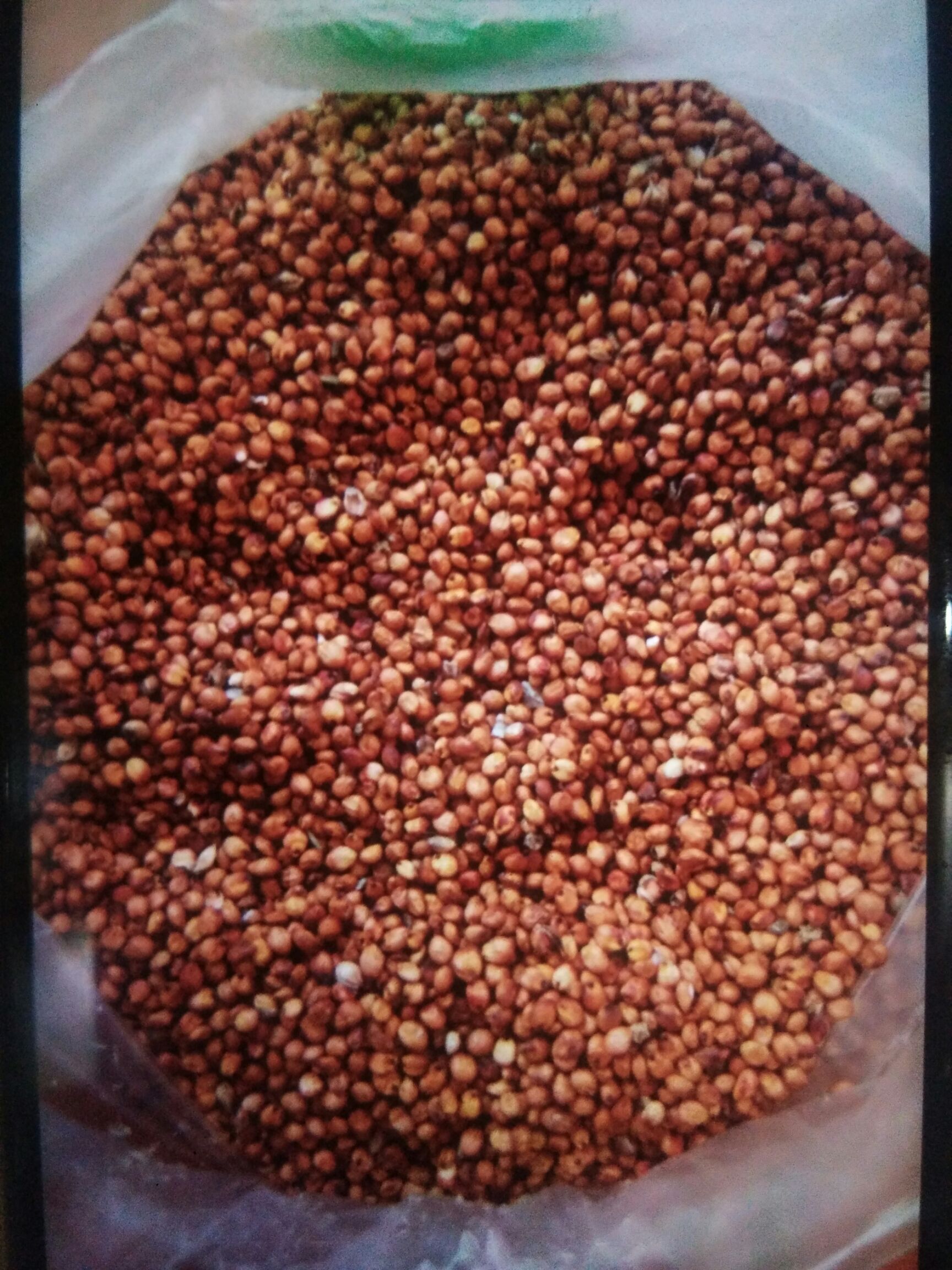 红高粱 霉变 ≤1% 1等品