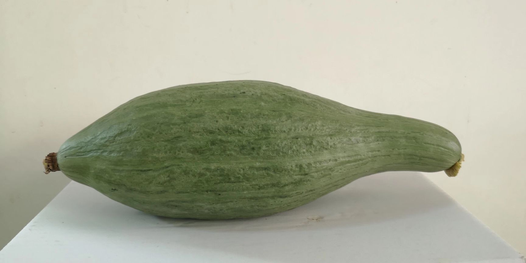 贵族南瓜 2~4斤 长条形