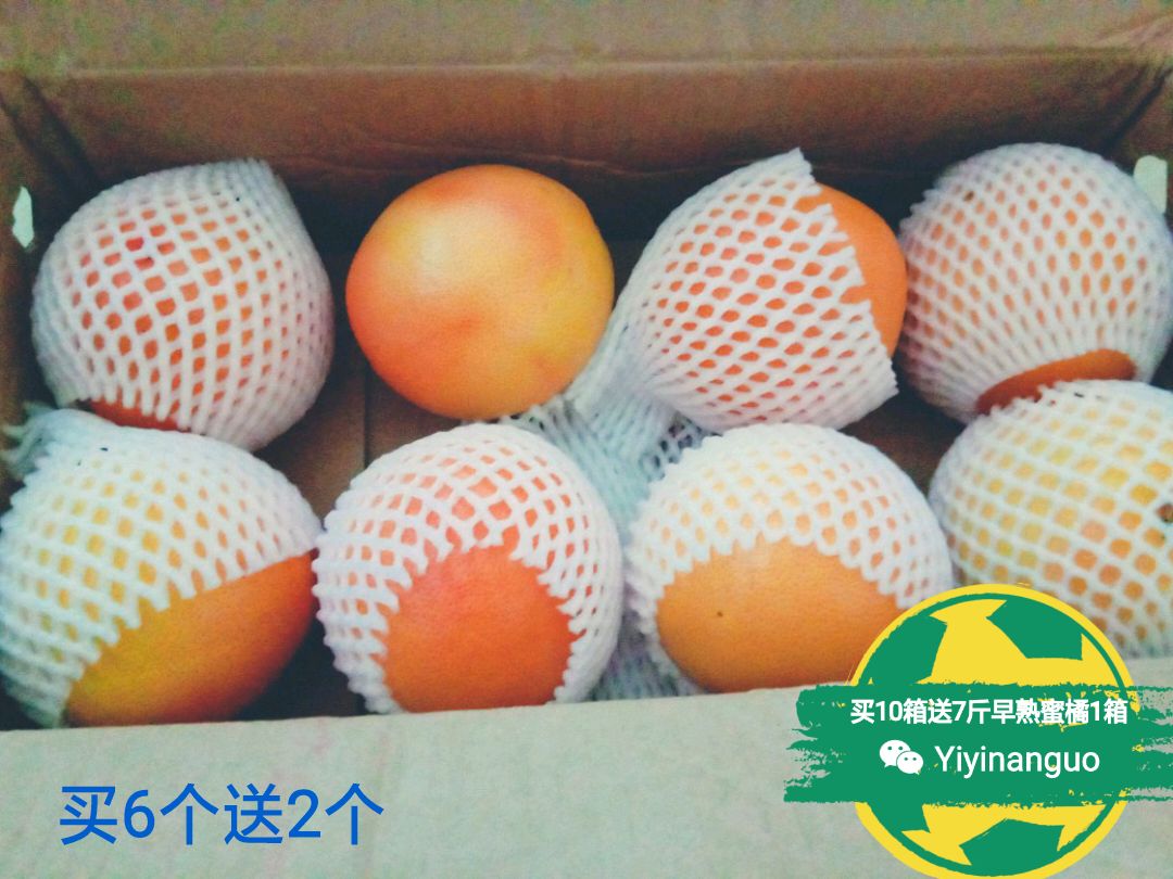 【西柚批发】西柚 1斤以下 约5.0斤\/箱价格34元