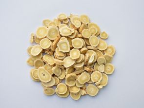 黄芪切片