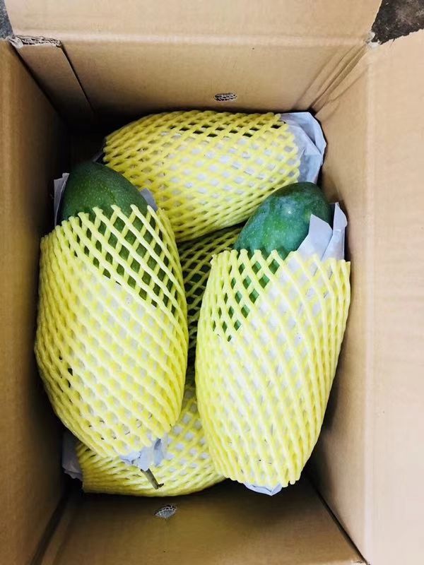 大青芒 10两以上 约6.0斤\/箱