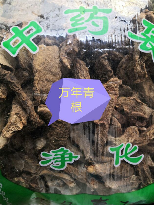 万年青根中药