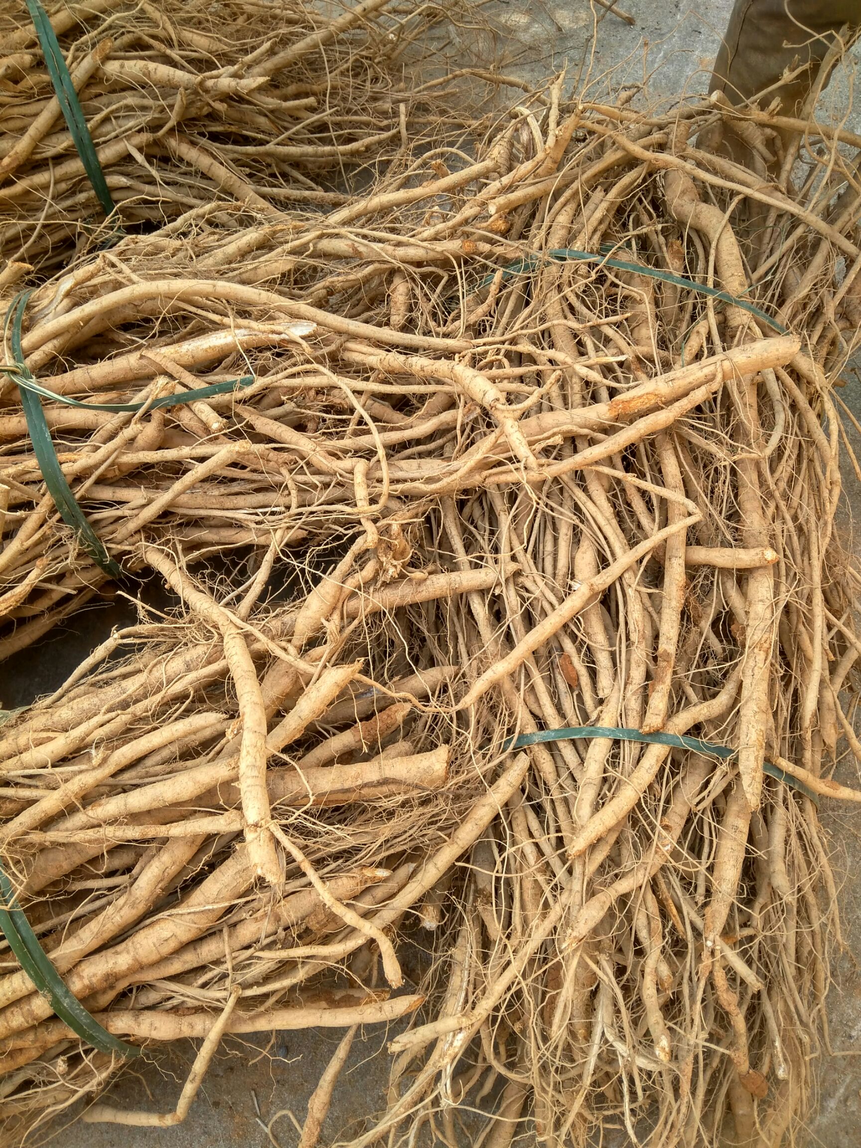 新鲜牛大力,泡酒,煲汤,甘甜味,     