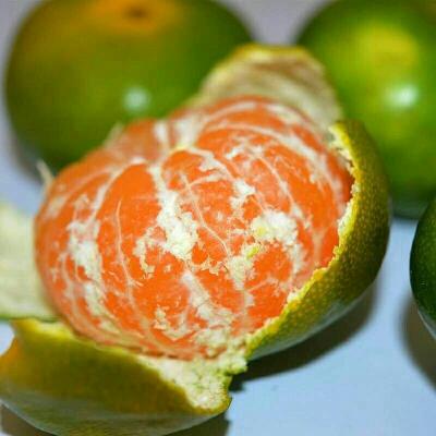 蜜桔 5.5 - 6cm 2 - 3两