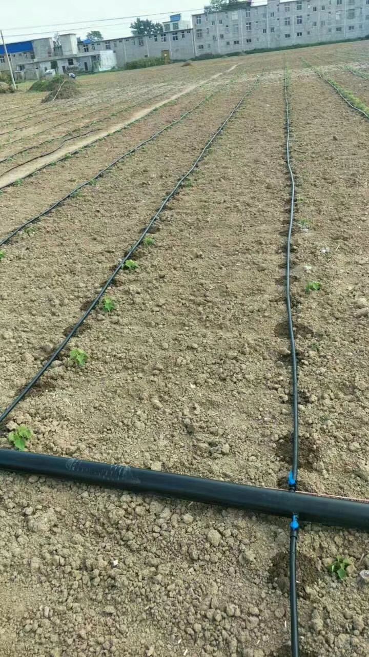 贴片式滴灌带