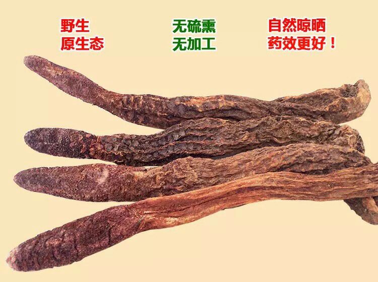 新疆 生金锁阳,男人的补品,与肉苁蓉合称沙漠双雄,泡茶泡酒