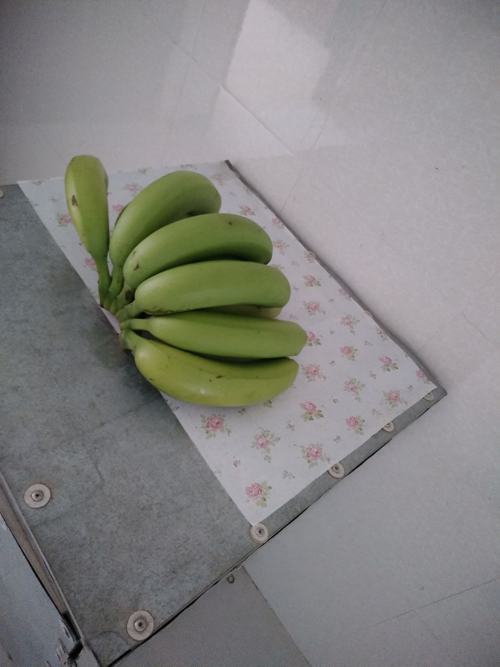 小米蕉 八成熟 50 - 60斤 约9.0斤\/箱