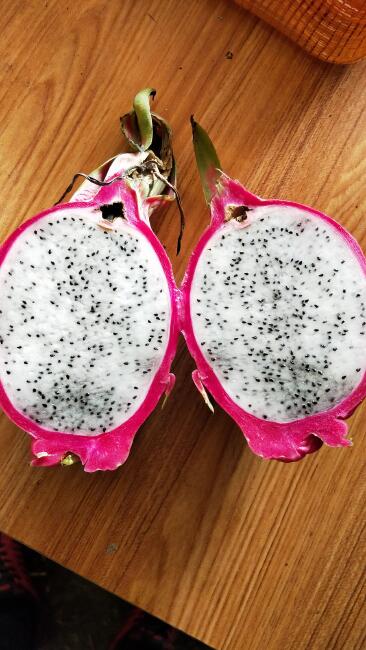 红皮白肉火龙果 中(5-7两) 约42.0斤\/箱