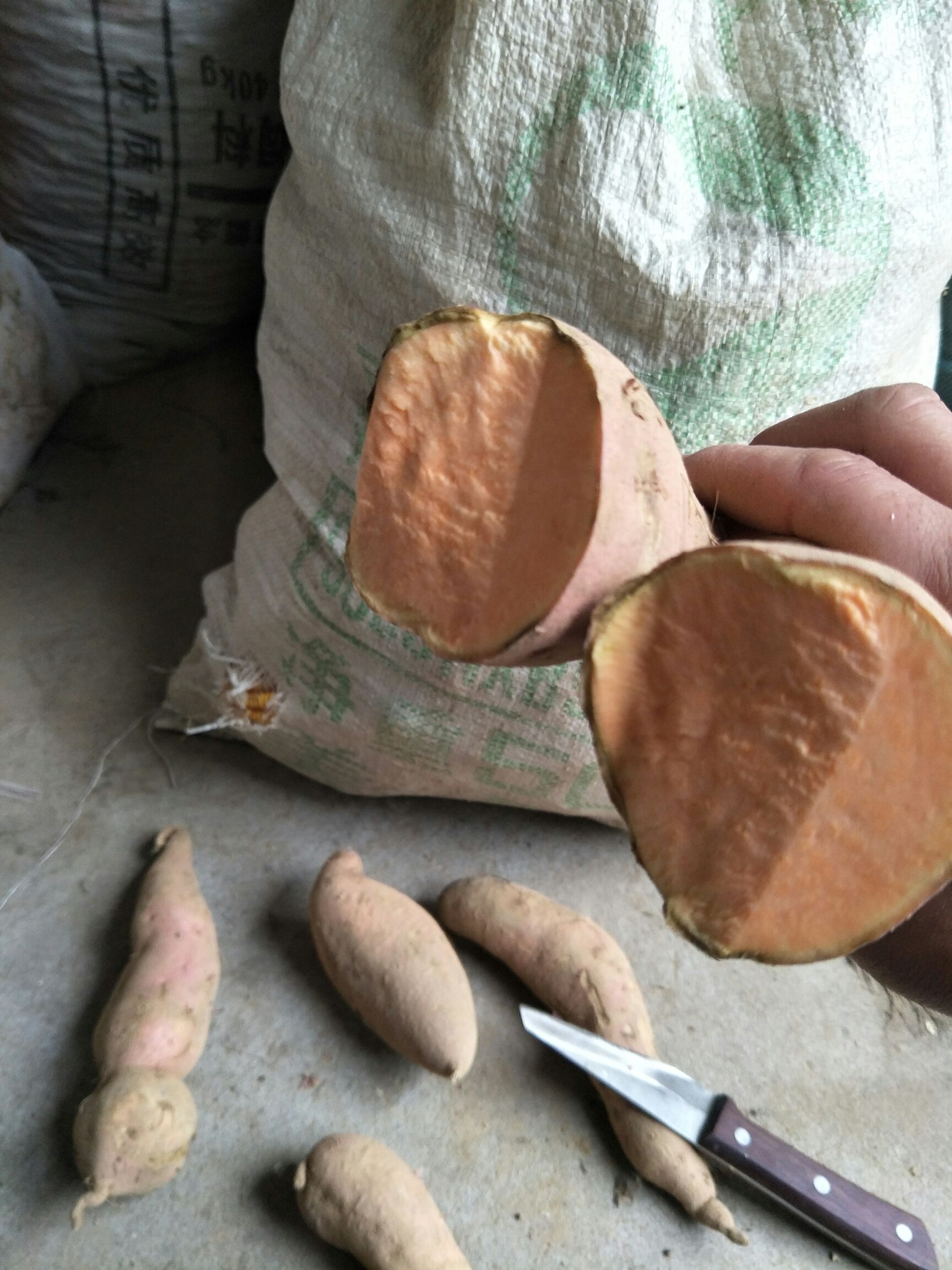 红香蕉红薯 红皮 6两~1斤