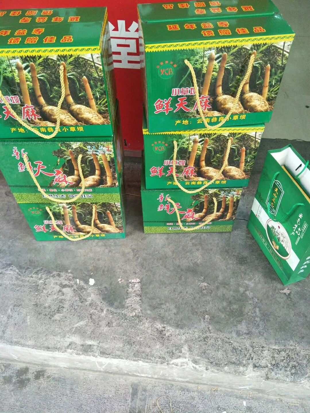小草坝天麻