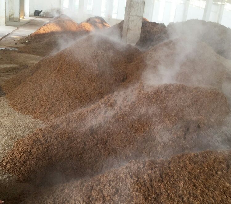 【酒糟批发】酒糟价格300元\/吨 30吨起批