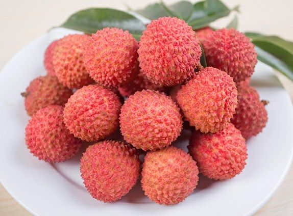 【桂味荔枝苗批发】桂味荔枝苗价格14元\/株 1