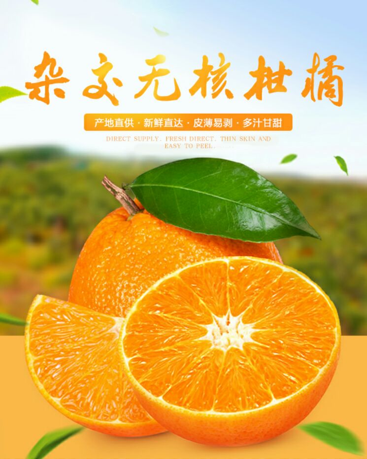 爱媛38号柑桔 7 - 7.5cm 3两以上 约5.0斤\/箱