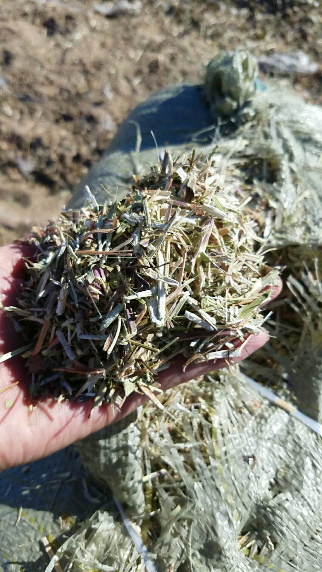 河南平顶山市叶县花生秧草料最新产地行情趋势